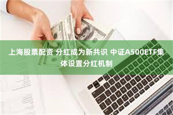 上海股票配资 分红成为新共识 中证A500ETF集体设置分红机制