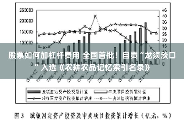 股票如何加杠杆费用 全国首批！自贡“龙须淡口”入选《农耕农品记忆索引名录》