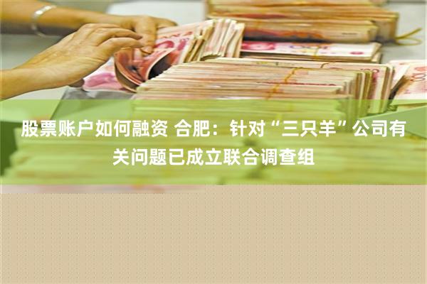 股票账户如何融资 合肥：针对“三只羊”公司有关问题已成立联合调查组