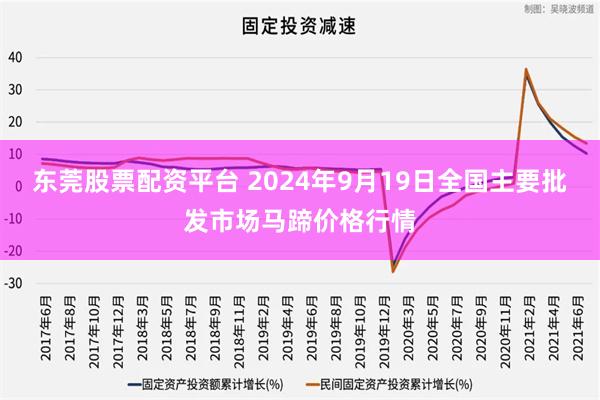 东莞股票配资平台 2024年9月19日全国主要批发市场马蹄价格行情