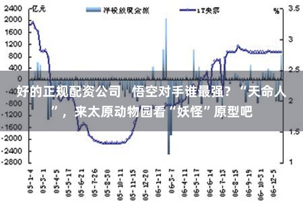 好的正规配资公司   悟空对手谁最强？“天命人”，来太原动物园看“妖怪”原型吧