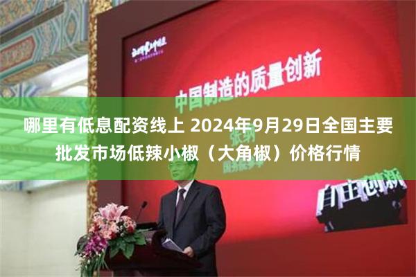 哪里有低息配资线上 2024年9月29日全国主要批发市场低辣小椒（大角椒）价格行情