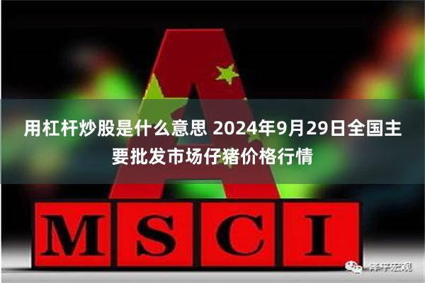 用杠杆炒股是什么意思 2024年9月29日全国主要批发市场仔猪价格行情