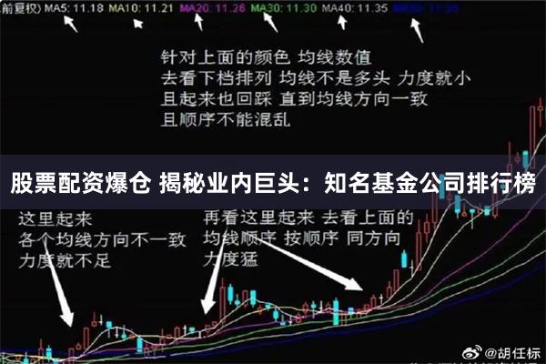 股票配资爆仓 揭秘业内巨头：知名基金公司排行榜