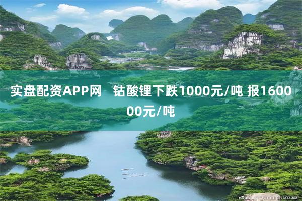 实盘配资APP网   钴酸锂下跌1000元/吨 报160000元/吨