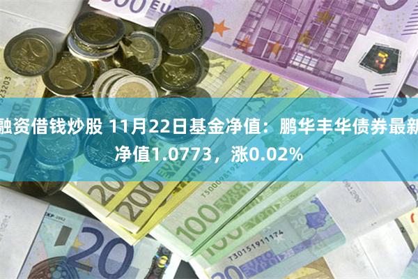 融资借钱炒股 11月22日基金净值：鹏华丰华债券最新净值1.0773，涨0.02%