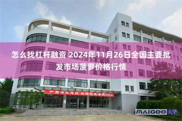 怎么找杠杆融资 2024年11月26日全国主要批发市场菠萝价格行情