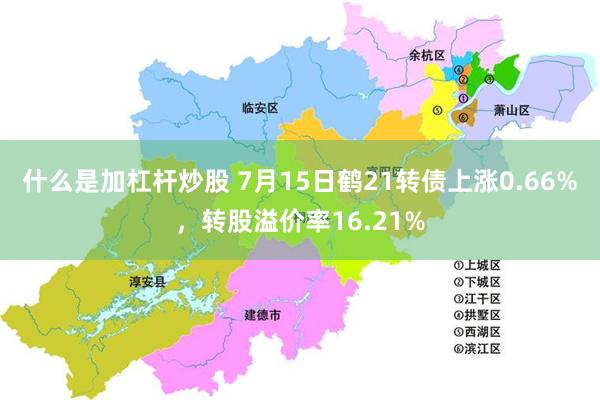 什么是加杠杆炒股 7月15日鹤21转债上涨0.66%，转股溢价率16.21%