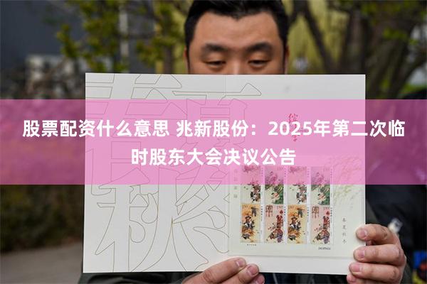 股票配资什么意思 兆新股份：2025年第二次临时股东大会决议公告